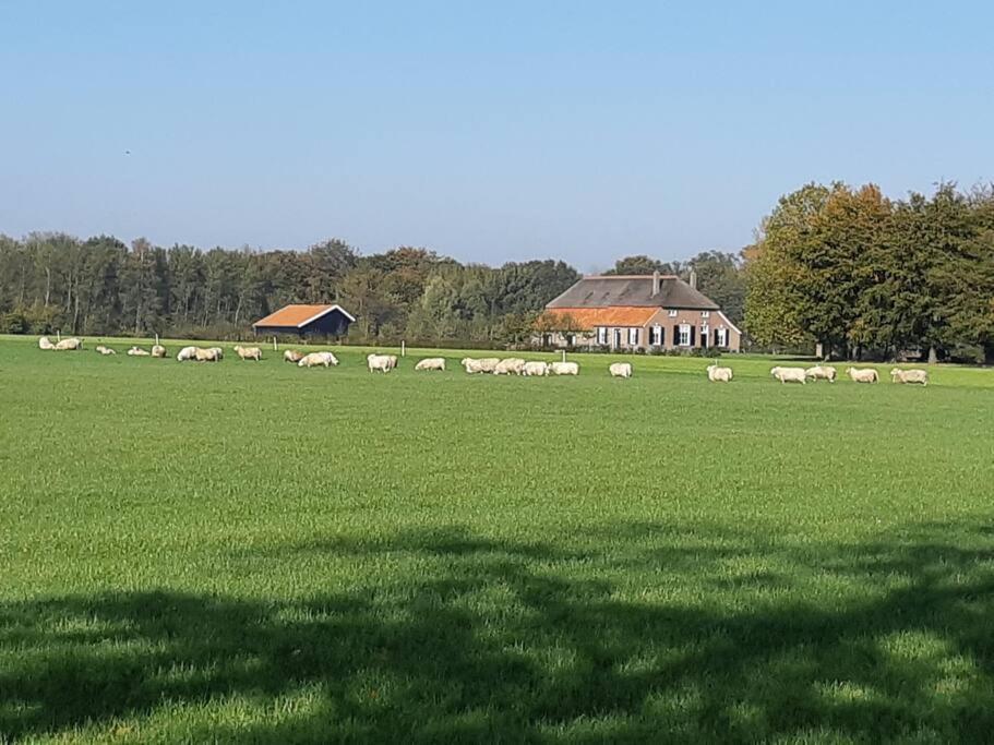 B&B Joostink In Vorden Eksteriør billede